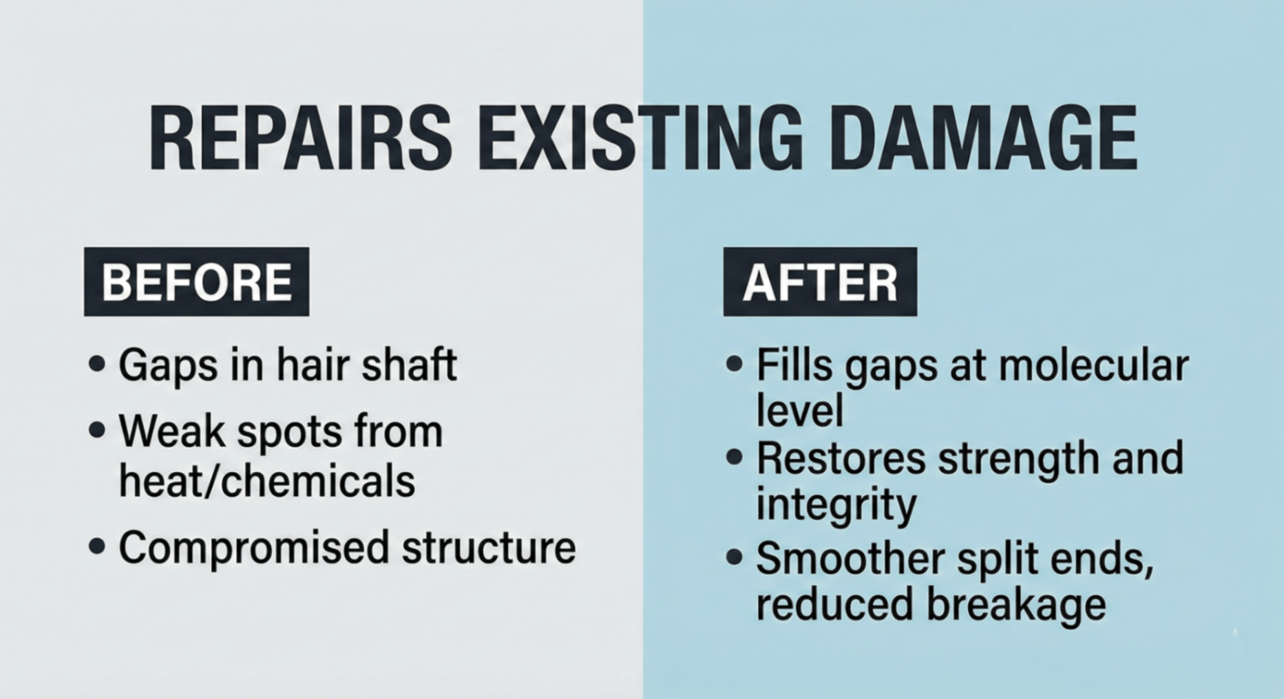 Repairs Existing Damage